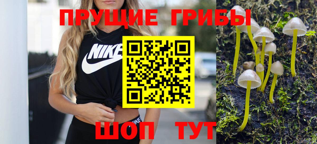 Псилоцибиновые грибы MAGIC MUSHROOMS Октябрьский