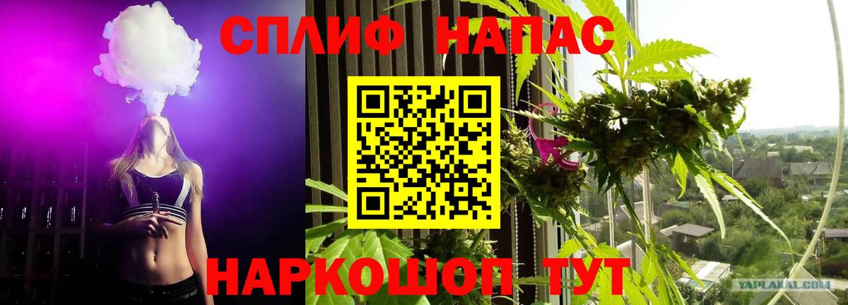 Бошки марихуана VHQ Октябрьский